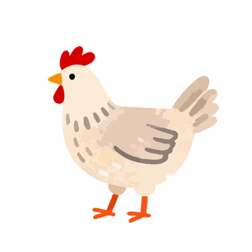 卡通鸡插画素材