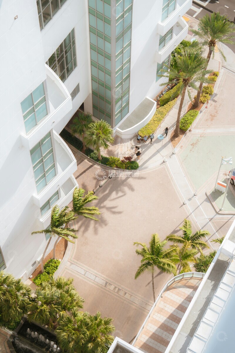 高清大图下载【趣麦麦图】现代建筑棕榈树街景俯瞰图