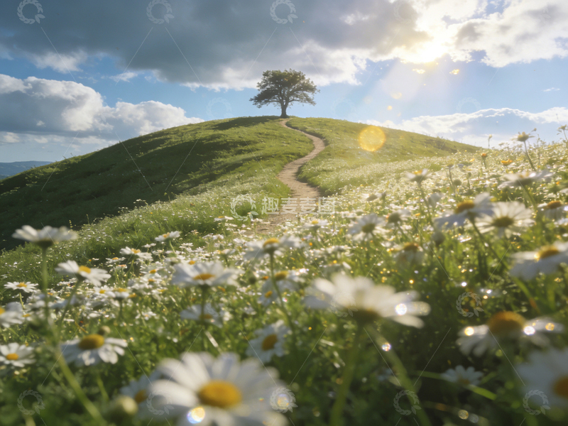 高清大图下载【趣麦麦图】田园风光小山花径