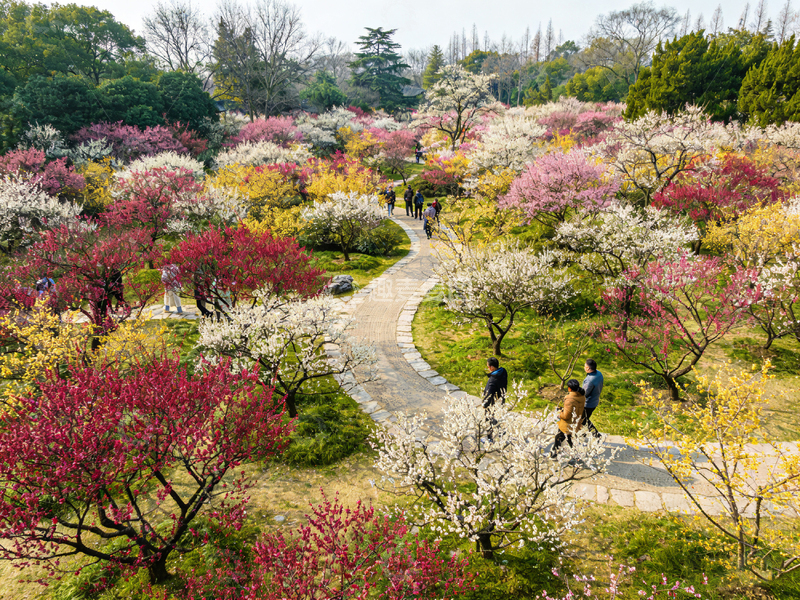 高清大图下载【趣麦麦图】春日花海公园漫步1