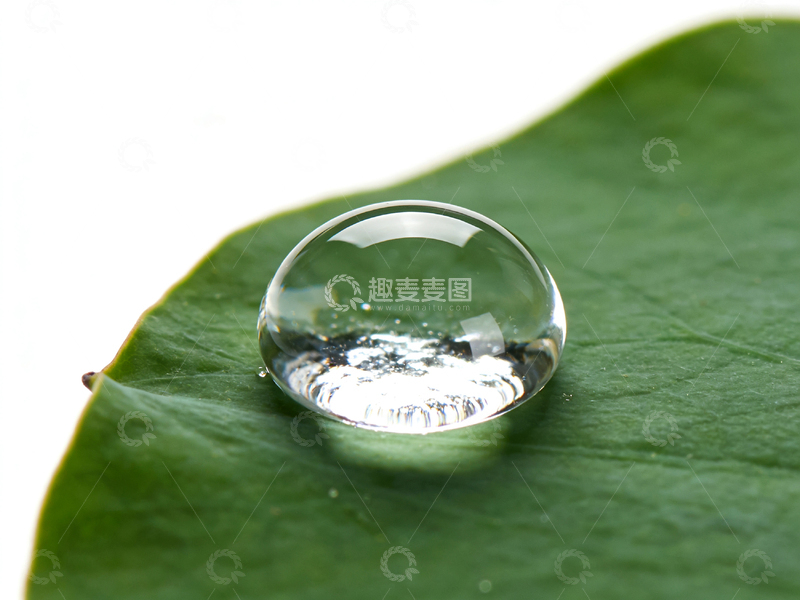 高清大图下载【趣麦麦图】水滴绿叶微距摄影