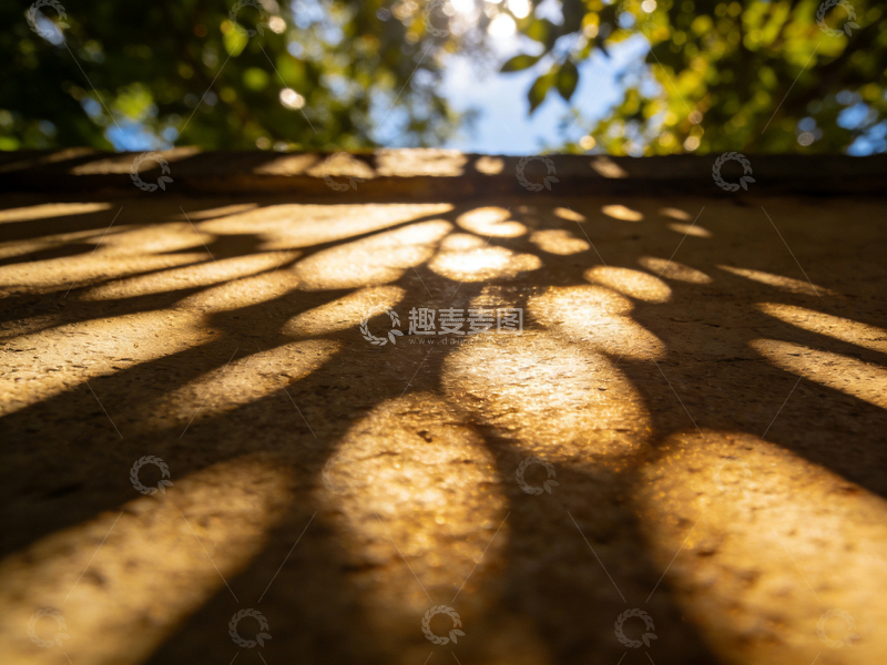 高清大图下载【趣麦麦图】光影斑驳树影地面