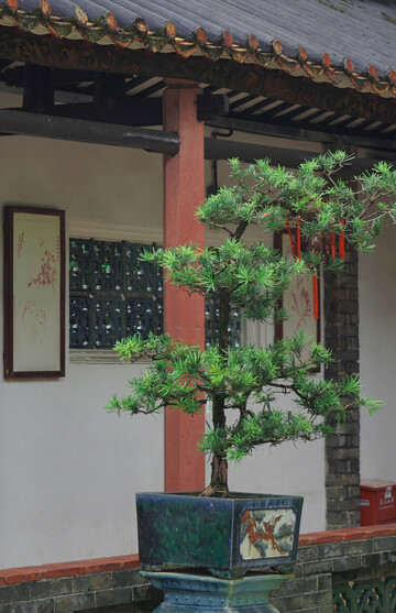 古典庭院盆景风光