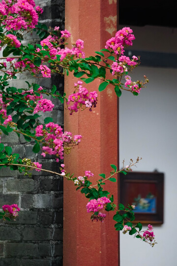 古韵红花绿叶建筑美景