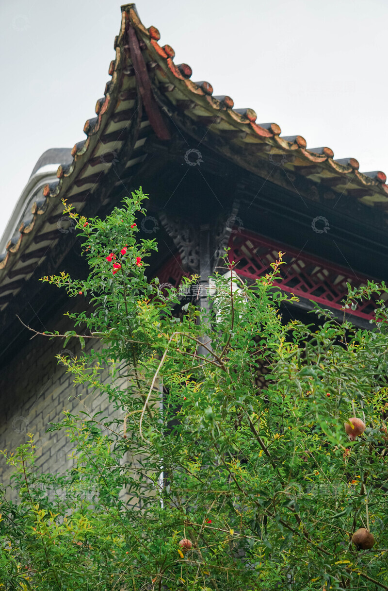高清大图下载【趣麦麦图】古典建筑石榴树风光