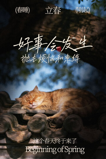 春夜酣睡猫咪立春节气海报