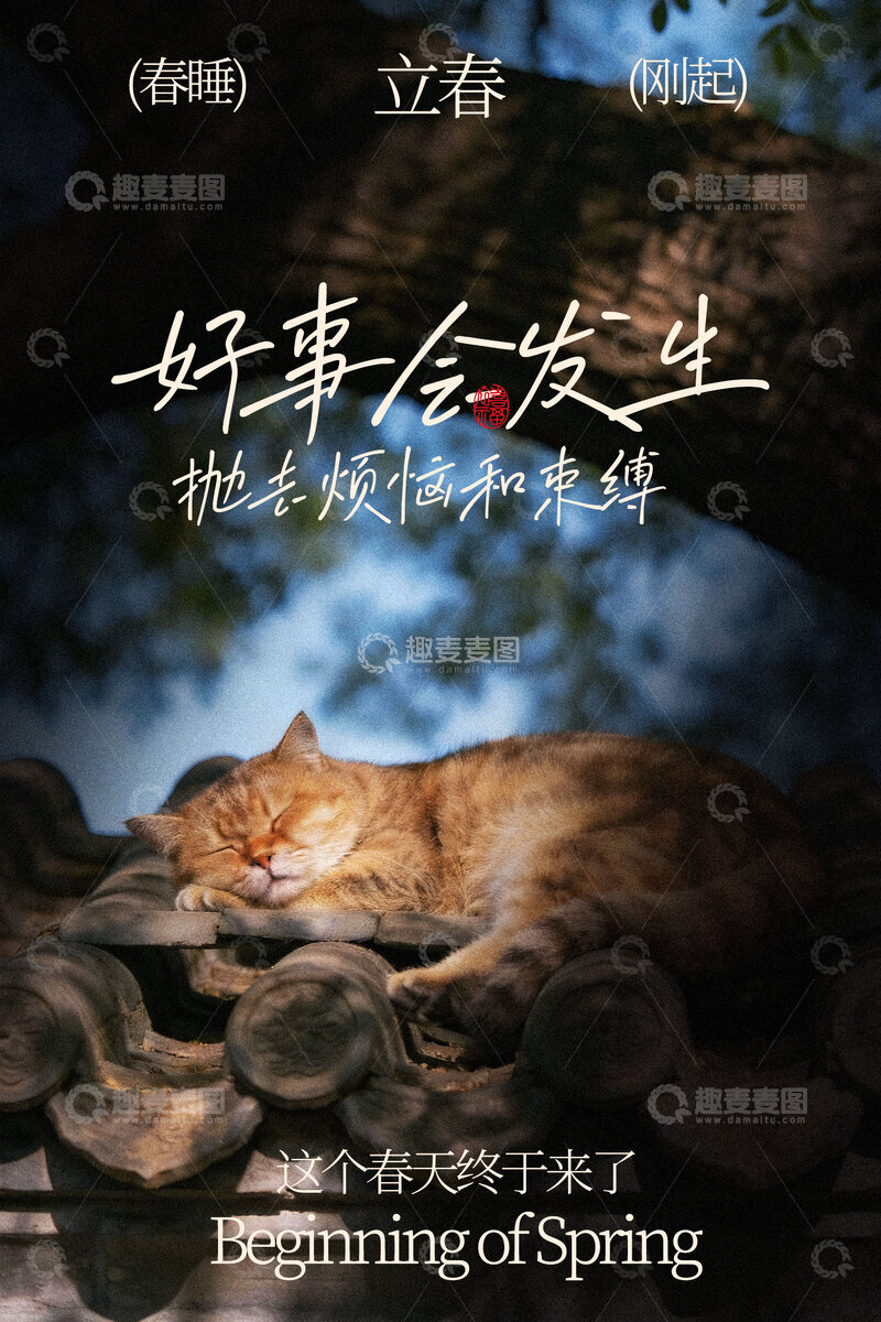 源文件下载【趣麦麦图】-春夜酣睡猫咪立春节气海报