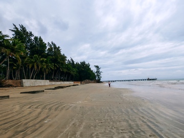 海滩风光椰子树码头摄影