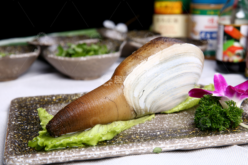 高清大图下载【趣麦麦图】象拔蚌,火锅,打边炉