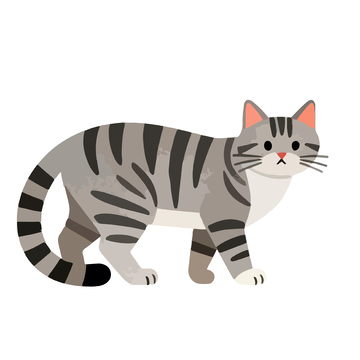 卡通风格灰猫矢量插画