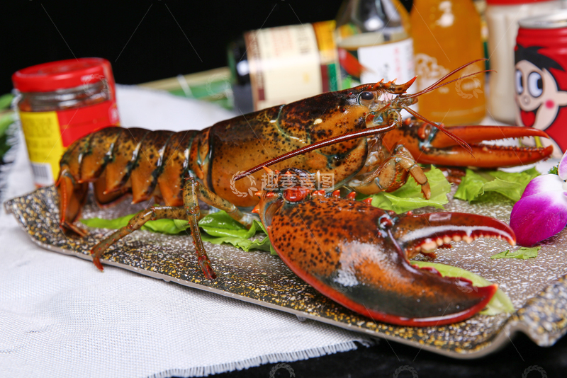 高清大图下载【趣麦麦图】波士顿龙虾,打边炉,火锅