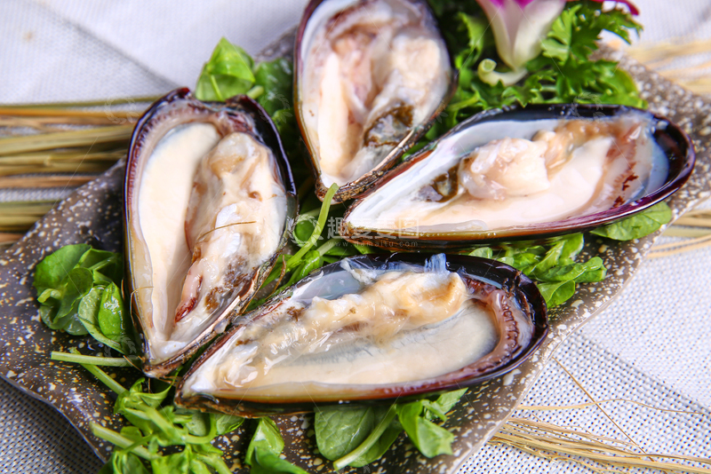 高清大图下载【趣麦麦图】青口贝,火锅,海鲜