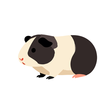 卡通豚鼠动物插画设计元素