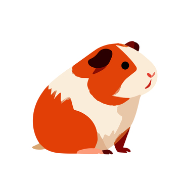 卡通动物豚鼠插画