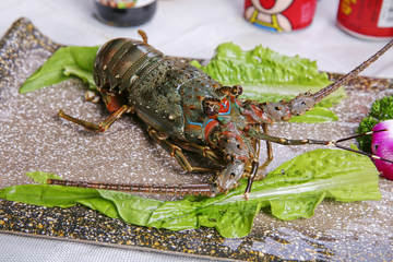 小青龙,波纹虾,美食