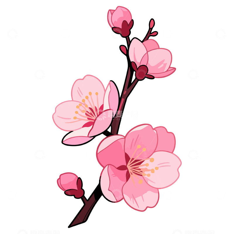 源文件下载【趣麦麦图】-樱花枝条手绘插画设计素材