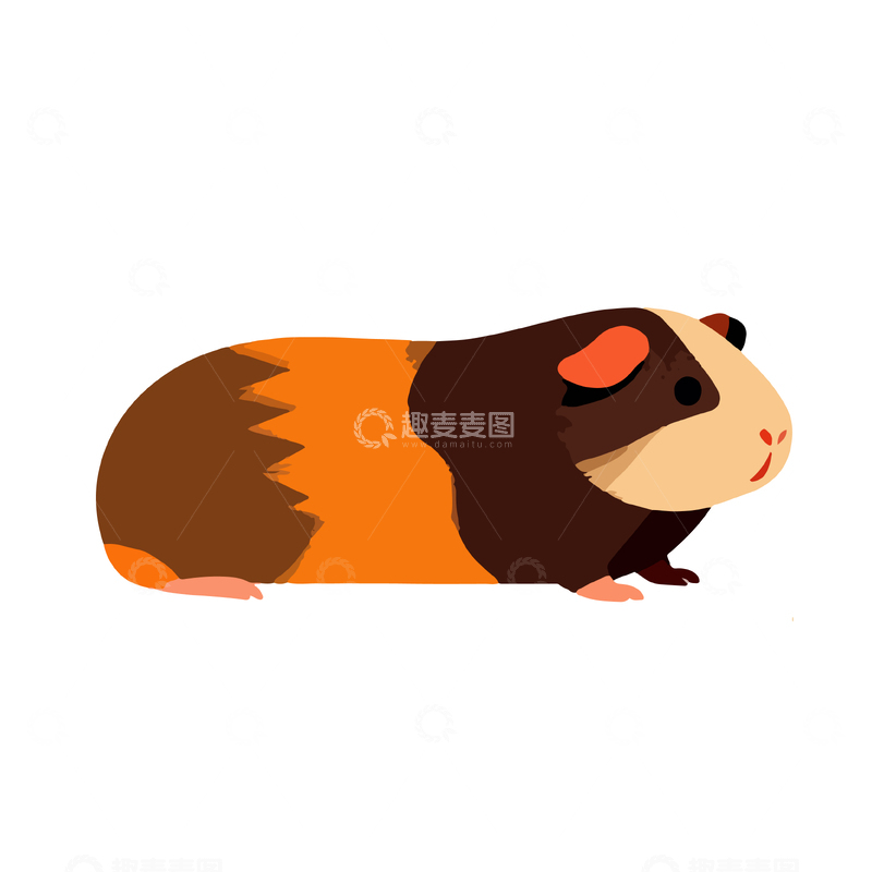 源文件下载【趣麦麦图】卡通豚鼠插画设计素材