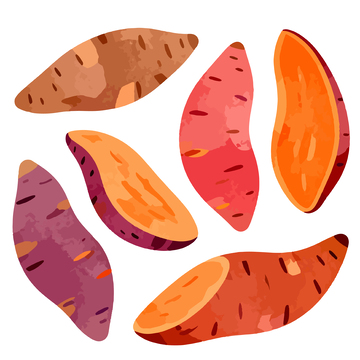 多彩红薯手绘插画