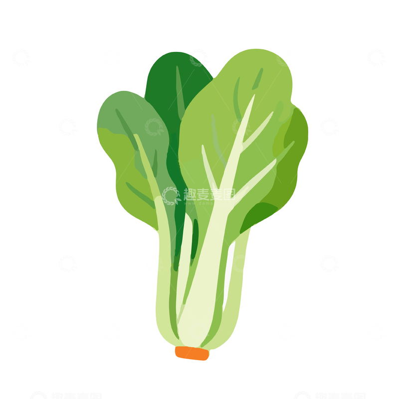 源文件下载【趣麦麦图】卡通风格青菜矢量插画设计元素