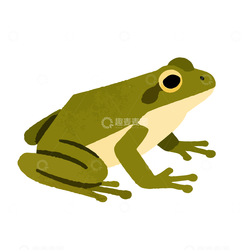 源文件下载【趣麦麦图】卡通青蛙矢量插画素材
