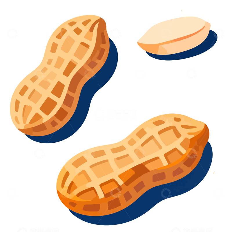 源文件下载【趣麦麦图】插画风格花生元素设计素材