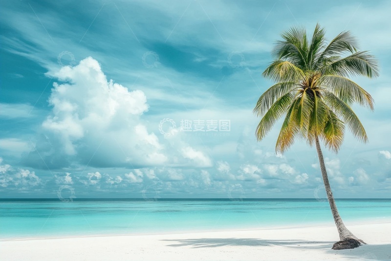 高清大图下载【趣麦麦图】夏季沙滩椰树大海
