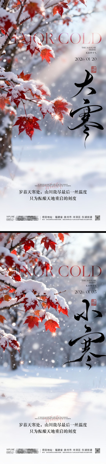 小寒大寒风景系列海报