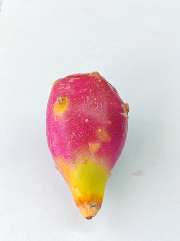 新鲜火龙果切块特写