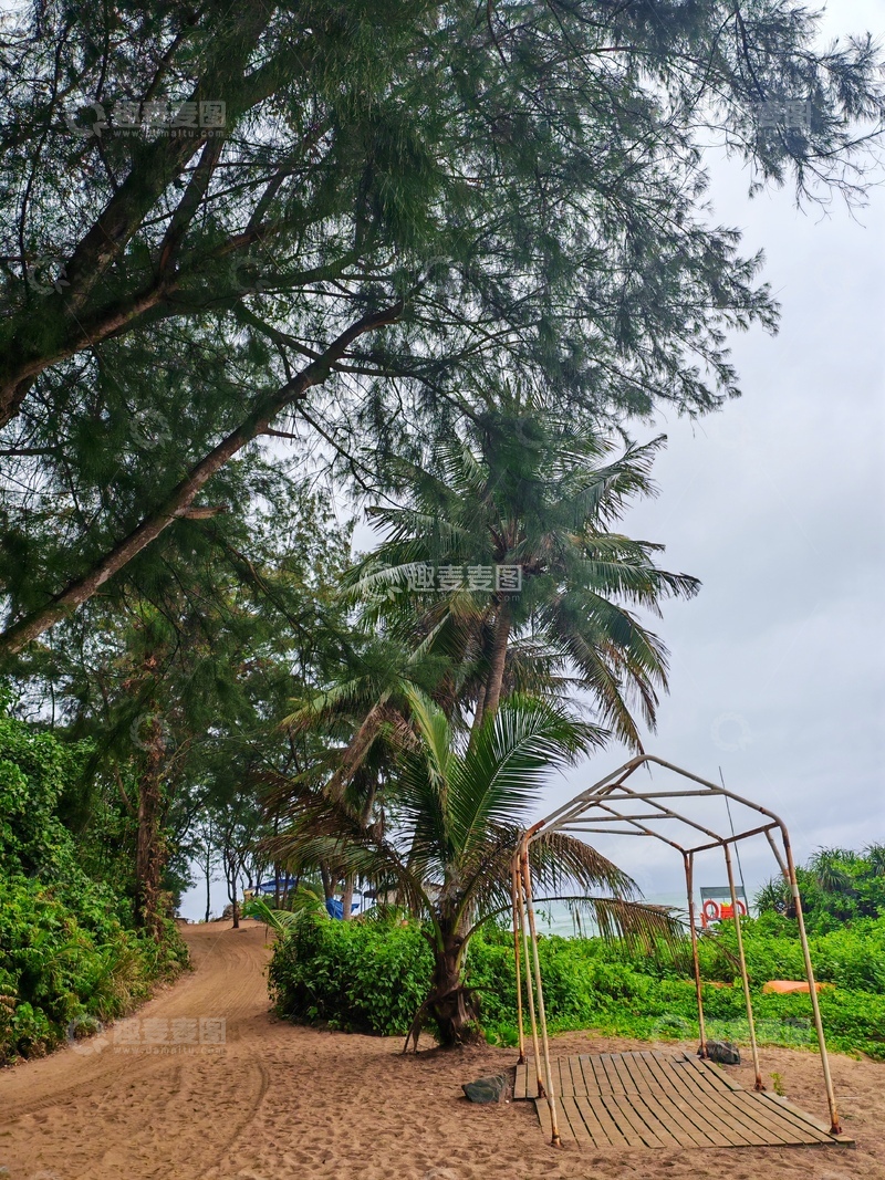 高清大图下载【趣麦麦图】热带风情小径秋千美景