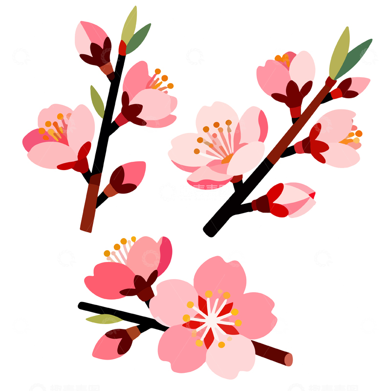 源文件下载【趣麦麦图】樱花插画风格春天花卉装饰元素