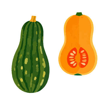 卡通南瓜蔬菜插画素材