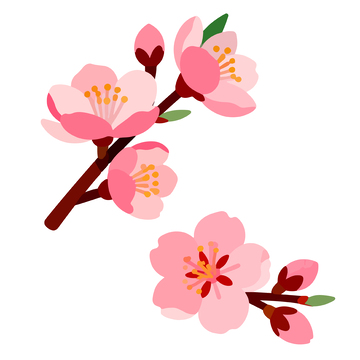 樱花插画春天浪漫