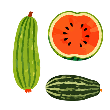 西瓜插画合集