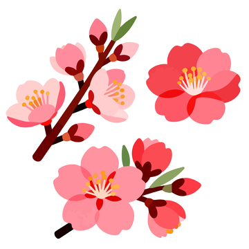 樱花盛开矢量插画