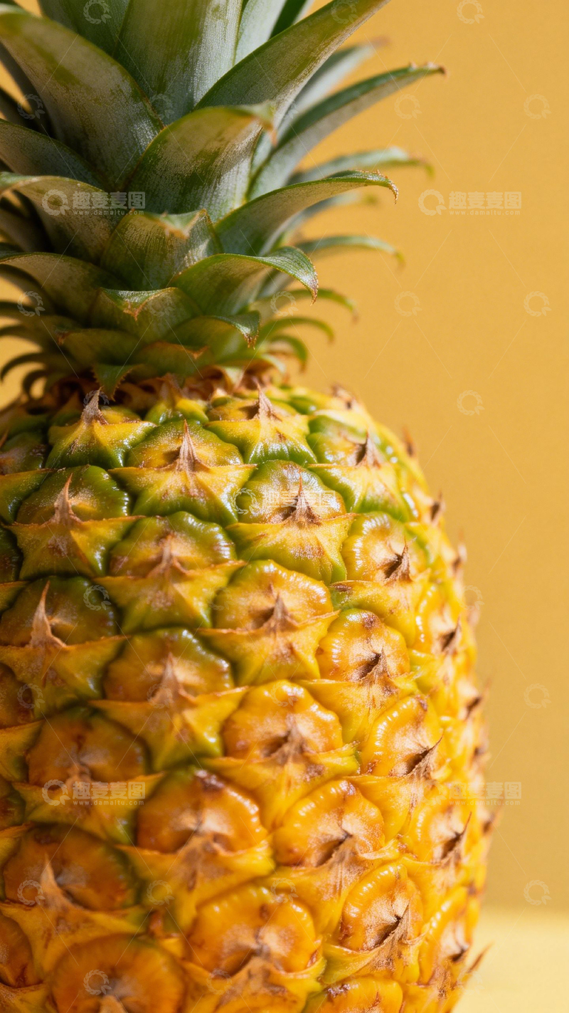高清大图下载【趣麦麦图】菠萝特写摄影图