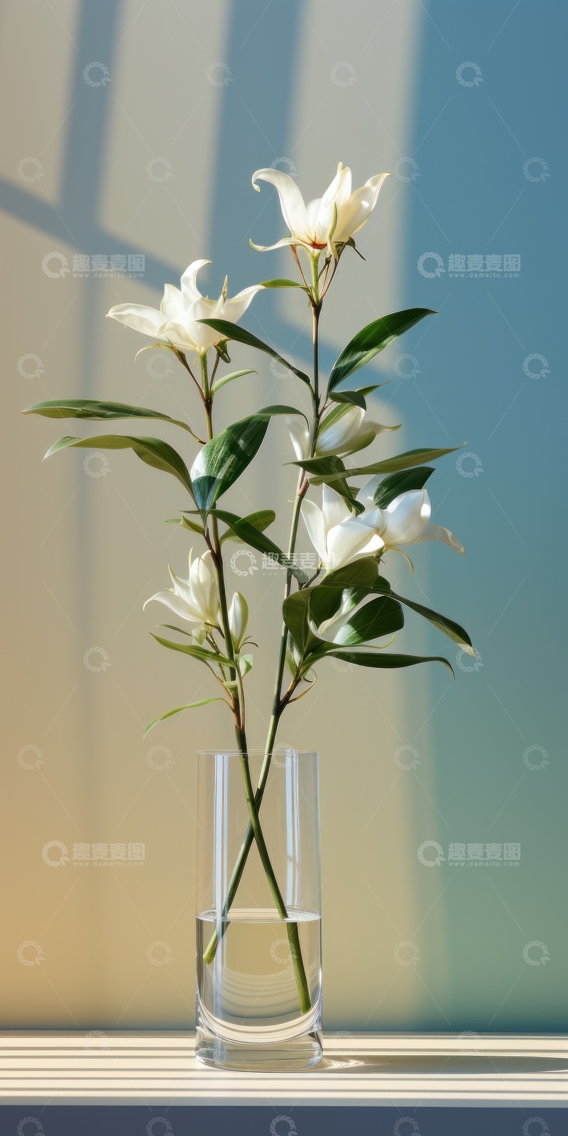 高清大图下载【趣麦麦图】清新百合花玻璃花瓶静物摄影