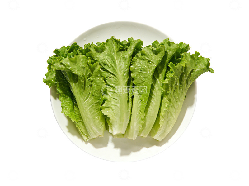高清大图下载【趣麦麦图】一盘新鲜生菜