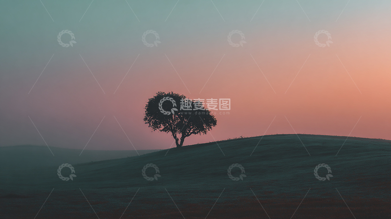 高清大图下载【趣麦麦图】夕阳下孤树的宁静诗篇