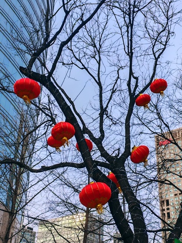 红灯笼新春街景