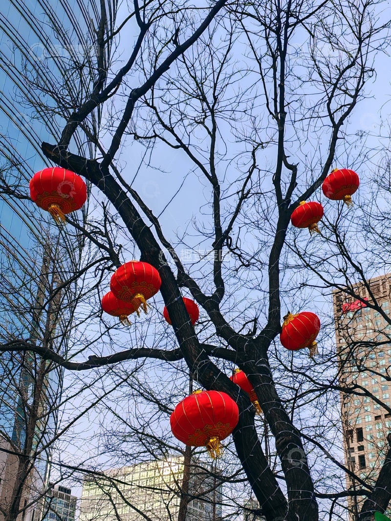 高清大图下载【趣麦麦图】红灯笼新春街景