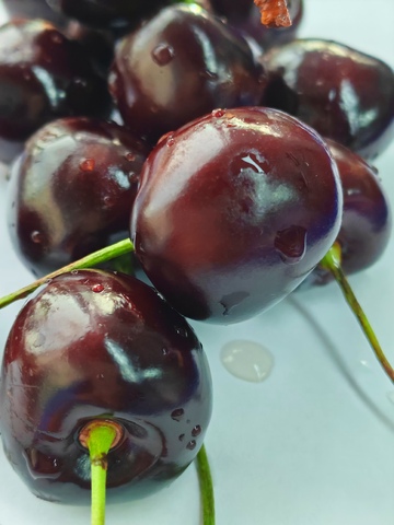 新鲜樱桃特写摄影图片11