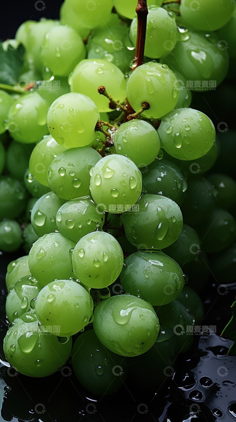 高清大图下载【趣麦麦图】绿葡萄特写水珠新鲜水果