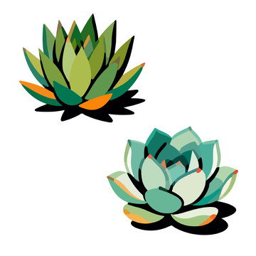 卡通多肉植物矢量插画设计素材