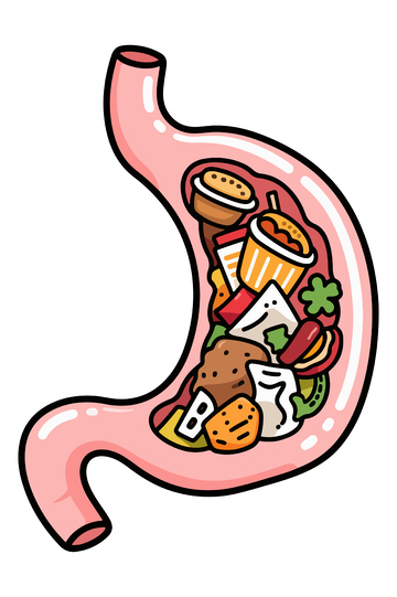 卡通胃部食物插图