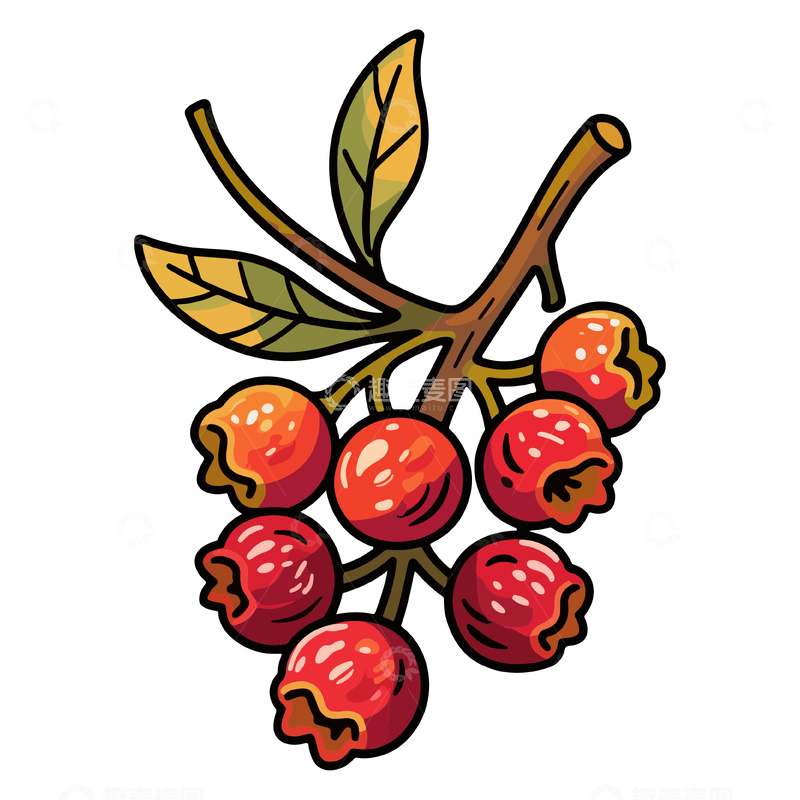 源文件下载【趣麦麦图】彩色卡通树枝果实插画