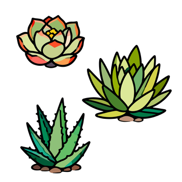 多肉植物手绘插画设计素材