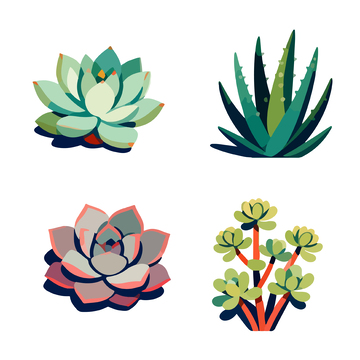 卡通多肉植物插画设计素材