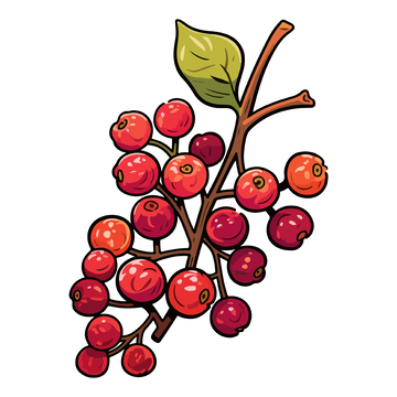 手绘红色浆果插画素材