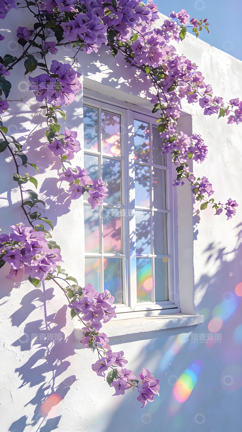 高清大图下载【趣麦麦图】白墙紫花阳光窗景风景唯美摄影