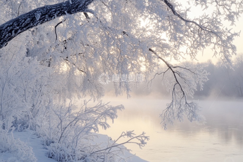 高清大图下载【趣麦麦图】冬季冰霜树枝摄影